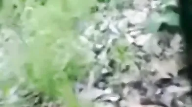 Desi- Telugu Couple Outdoor Fuck