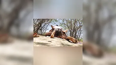 Outdoor Aunty Fuck With Uncle Telugu Audio