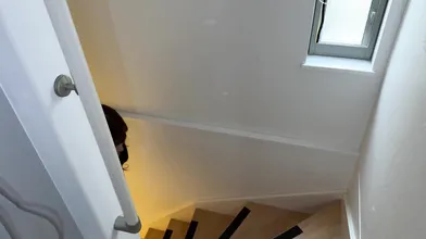 F C 2-P P V-4741269, Bukkake