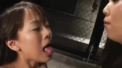 _Various - MDED-231, Best Cum Swap Collection