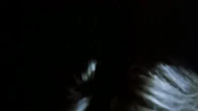 Perdidamente en el agua/Hodet over Vannet (1993)