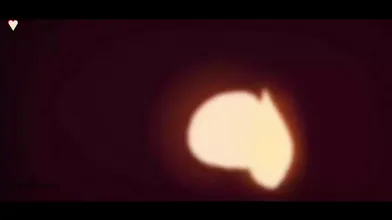 Scooby-Doo  -hentai anime