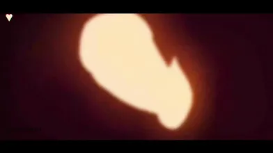 Scooby-Doo  -hentai anime