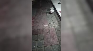 城中春 找快樂