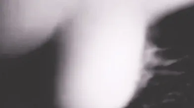 Vou Contar Tudo Pro Meu Marido