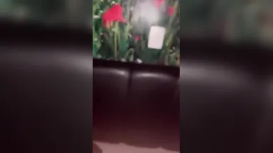 Hotwife Tomando Porra Compilado