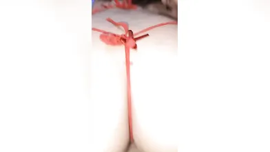 Novinha Mamou E Sentou Na Pica