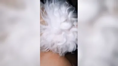 Novinha Rabuda Levando De Quatro