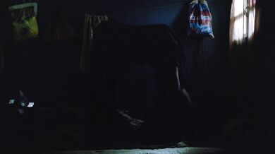 Radhika Apte Nude Scene From Sister Midnight
