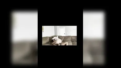 Korean Gets First BBC