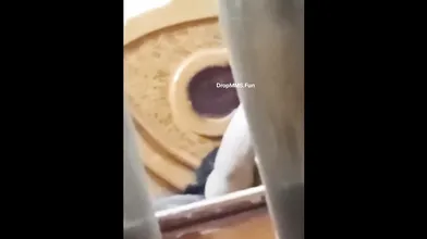 paid housewife meetup five