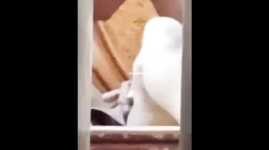 paid housewife meetup six