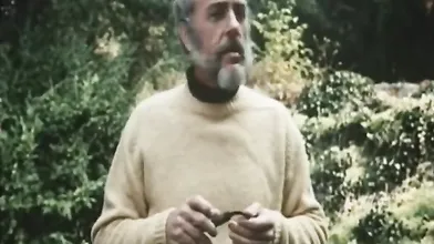 American Desire - Better Quality