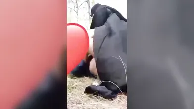 hijabi milf outdoor blowjob turns into filthy fucking