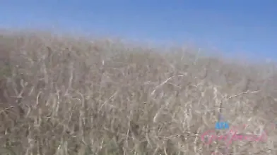 ATKGirlfriends Serena Hill Calabasas WRB