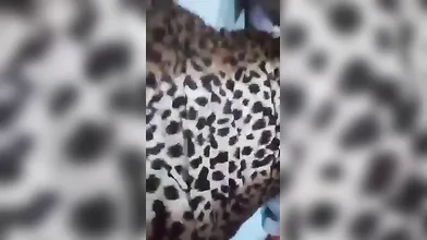 Anita chemor big pussy lips