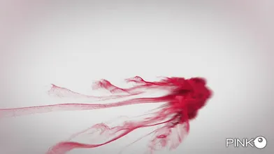 Nine Guys Should Be Enough - Sara Bell