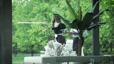 Maid Affair