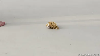 Little Yellow Socks