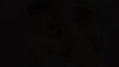 Kitty Cute Takes A Holiday - Emilia D