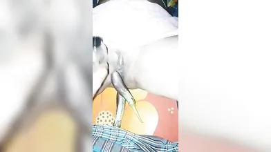 Sila babi koci bodar gortay long bagun sex bediou