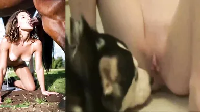 Cielo Yamile Katherine Miriam Riveros caballero compilación