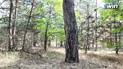 A game of hide-and-seek finished in a explosive climax 4K - XXX!