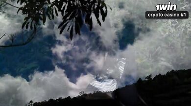Desaparecem nas profundezas da selva no calor de uma sessão sexual intensa e inc