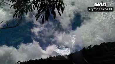 Desaparecem nas profundezas da selva no calor de uma sessão sexual intensa e inc