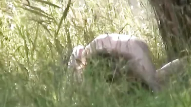 Amateur girls voyeur intercourse in public place