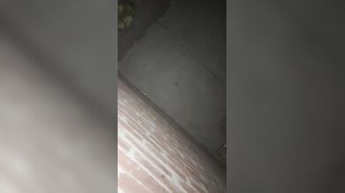 Mary (viral video)