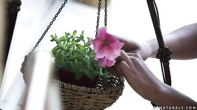 Sowing the Seed