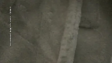 Beautiful Chinese Escort 295