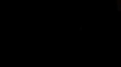 A Classic DP Anal