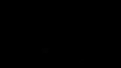 The Zombie Apocalypse 1