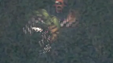 Five Nights At Freddy’s