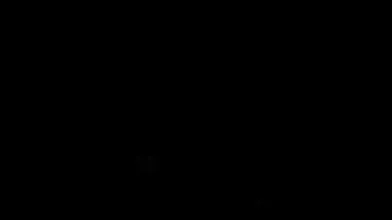 The Zombie Apocalypse 2