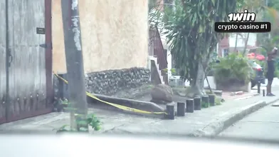 Horny dark haired takes big dark-hued cock in her taut gash while railing cowgir