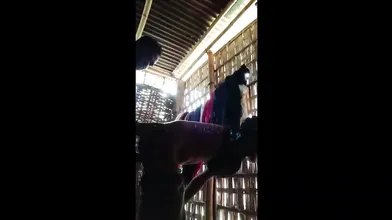 Village Couple Standing Sex Desi Mms Viral