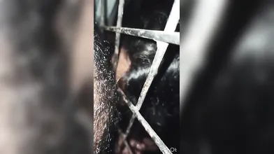 Mallu Anuty Outdoor Sex