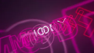 Indian Hotty BBW Chubby BTS