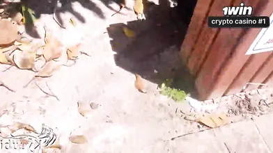 Jovem loira trai o namorado com um boquete na praia e provoca excitação pública.