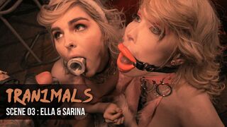 TS Ella + TS Sarina + Stud = Threesome