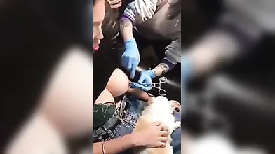 Big Tits Chinese Babe Nipple Piercing - Dominno