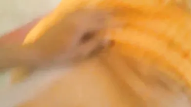 Lund Chuste Chuste Horny Hui Bhabhi Doggy Style Mein Chudi