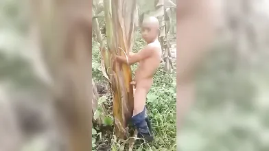 MARLBOROQUEENSEX - NGENTOT POHON PISANG