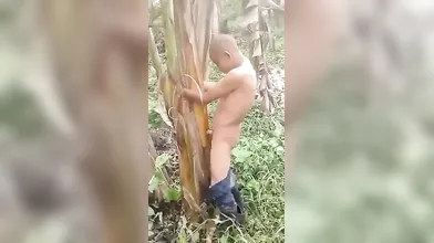 MARLBOROQUEENSEX - NGENTOT POHON PISANG