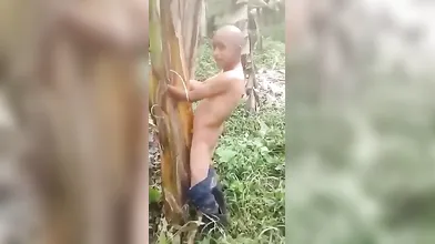 MARLBOROQUEENSEX - NGENTOT POHON PISANG