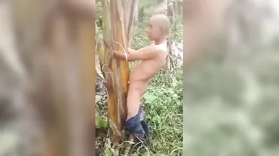 MARLBOROQUEENSEX - NGENTOT POHON PISANG