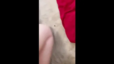 Slut Gets Out Of The Shower To Get Fucked